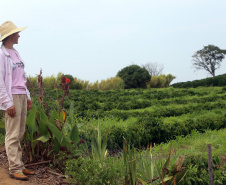 Com juros subsidiados pelo Estado, Banco do Agricultor muda a realidade dos paranaenses