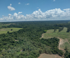 Com apoio de aeronave do BPMOA, IAT identifica irregularidades em áreas de APP 