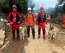 O impacto do desastre foi muito grande, diz paranaense que ajudou na operação de apoio a Petrópolis