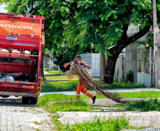 IAT contribui com recolhimento e destinação de resíduos urbanos na temporada de verão