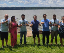 Rio Paranapanema conta com mais 105 mil peixes