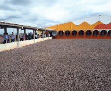 Copacol inaugura unidade de produção de suínos de R$ 120 milhões em Jesuítas