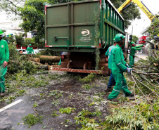 Equipes da Prefeitura de Maringá trabalham na desobstrução das vias da cidade após temporal - 