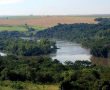 Produtores desconhecem bases da agricultura conservacionista, aponta estudo