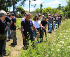 Cestas Solidárias viabilizam produtor familiar de orgânicos e beneficiam consumidores