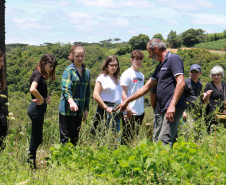 Cestas Solidárias viabilizam produtor familiar de orgânicos e beneficiam consumidores