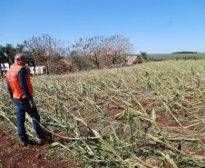 Estado envia ajuda humanitária a cidades do Oeste e Noroeste atingidas por temporais