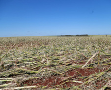 Estado envia ajuda humanitária a cidades do Oeste e Noroeste atingidas por temporais