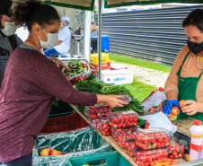 Paraná ganha a partir desta sexta-feira mapa estadual de feiras orgânicas e agroecológicas