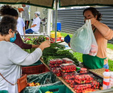 Paraná ganha a partir desta sexta-feira mapa estadual de feiras orgânicas e agroecológicas