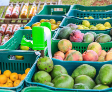 Paraná ganha a partir desta sexta-feira mapa estadual de feiras orgânicas e agroecológicas