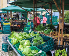 Paraná ganha a partir desta sexta-feira mapa estadual de feiras orgânicas e agroecológicas