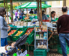 Paraná ganha a partir desta sexta-feira mapa estadual de feiras orgânicas e agroecológicas