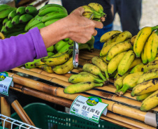 Paraná ganha a partir desta sexta-feira mapa estadual de feiras orgânicas e agroecológicas