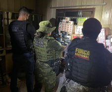 Força Nacional apreende mais de 700 quilos de drogas durante ações integradas no Oeste