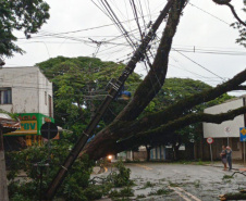 Após fortes chuvas, equipes da Copel trabalham em todo o Estado para recompor rede de energia