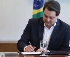 Governador