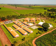 COLÉGIO AGRÍCOLA