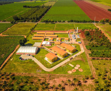 COLÉGIO AGRÍCOLA