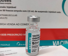 Estado recebe mais 59 mil vacinas para a dose de reforço contra a Covid-19