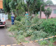 Copel promove mutirão de manutenção e limpeza de redes nas regiões Oeste e Sudoeste