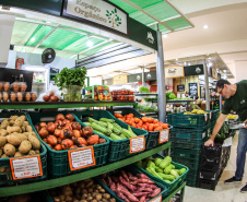 Paraná ganha a partir desta sexta-feira mapa estadual de feiras orgânicas e agroecológicas