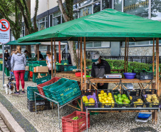 Paraná ganha a partir desta sexta-feira mapa estadual de feiras orgânicas e agroecológicas