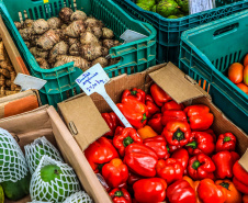 Paraná ganha a partir desta sexta-feira mapa estadual de feiras orgânicas e agroecológicas