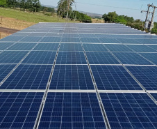 Apoio do Estado e cooperativismo ajudam a promover agricultura orgânica no Paraná 