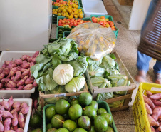 Compras públicas impulsionam produção e consumo de orgânicos no Paraná