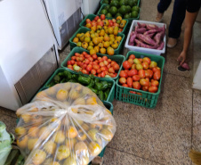 Compras públicas impulsionam produção e consumo de orgânicos no Paraná