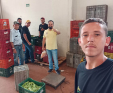 Compras públicas impulsionam produção e consumo de orgânicos no Paraná