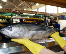 Vigilância Sanitária alerta sobre cuidados na compra de pescados para a Semana Santa