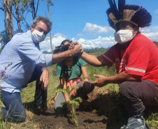  No Dia dos Povos Indígenas, IAT relembra parceria para conservação e recuperação da Floresta Estadual Metropolitana