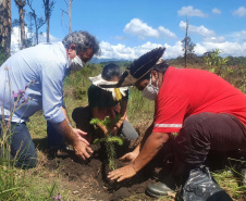  No Dia dos Povos Indígenas, IAT relembra parceria para conservação e recuperação da Floresta Estadual Metropolitana