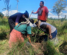  No Dia dos Povos Indígenas, IAT relembra parceria para conservação e recuperação da Floresta Estadual Metropolitana