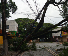 Após fortes chuvas, equipes da Copel trabalham em todo o Estado para recompor rede de energia