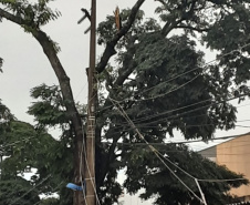 Após fortes chuvas, equipes da Copel trabalham em todo o Estado para recompor rede de energia