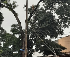 Após fortes chuvas, equipes da Copel trabalham em todo o Estado para recompor rede de energia