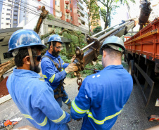 Com trabalho intenso durante a noite, Copel religa quase 90% das unidades afetadas pelo temporal - Na  foto,  trabalhos na área central dae Maringá: avenidas Mandacaru, XV de Novembro, Colombo e Rua Piratininga - Curitiba, 24/04/2022