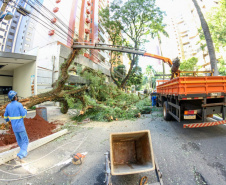 Com trabalho intenso durante a noite, Copel religa quase 90% das unidades afetadas pelo temporal - Na  foto,  trabalhos na área central dae Maringá: avenidas Mandacaru, XV de Novembro, Colombo e Rua Piratininga - Curitiba, 24/04/2022