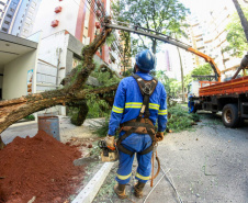 Com trabalho intenso durante a noite, Copel religa quase 90% das unidades afetadas pelo temporal - Na  foto,  trabalhos na área central dae Maringá: avenidas Mandacaru, XV de Novembro, Colombo e Rua Piratininga - Curitiba, 24/04/2022