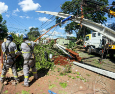  Com trabalho intenso durante a noite, Copel religa quase 90% das unidades afetadas pelo temporal - Na foto, trabalhos na área central dae Maringá: avenidas Mandacaru, XV de Novembro, Colombo e Rua Piratininga - Curitiba, 24/04/2022 Com trabalho intenso durante a noite, Copel religa quase 90% das unidades afetadas pelo temporal - Na foto, trabalhos na área central de Maringá: avenidas Mandacaru, XV de Novembro, Colombo e Rua Piratininga - Curitiba, 24/04/2022