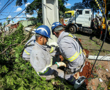  Com trabalho intenso durante a noite, Copel religa quase 90% das unidades afetadas pelo temporal - Na foto, trabalhos na área central dae Maringá: avenidas Mandacaru, XV de Novembro, Colombo e Rua Piratininga - Curitiba, 24/04/2022 Com trabalho intenso durante a noite, Copel religa quase 90% das unidades afetadas pelo temporal - Na foto, trabalhos na área central de Maringá: avenidas Mandacaru, XV de Novembro, Colombo e Rua Piratininga - Curitiba, 24/04/2022