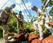  Com trabalho intenso durante a noite, Copel religa quase 90% das unidades afetadas pelo temporal - Na foto, trabalhos na área central dae Maringá: avenidas Mandacaru, XV de Novembro, Colombo e Rua Piratininga - Curitiba, 24/04/2022 Com trabalho intenso durante a noite, Copel religa quase 90% das unidades afetadas pelo temporal - Na foto, trabalhos na área central de Maringá: avenidas Mandacaru, XV de Novembro, Colombo e Rua Piratininga - Curitiba, 24/04/2022