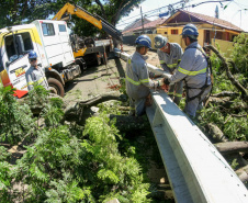  Com trabalho intenso durante a noite, Copel religa quase 90% das unidades afetadas pelo temporal - Na foto, trabalhos na área central dae Maringá: avenidas Mandacaru, XV de Novembro, Colombo e Rua Piratininga - Curitiba, 24/04/2022 Com trabalho intenso durante a noite, Copel religa quase 90% das unidades afetadas pelo temporal - Na foto, trabalhos na área central de Maringá: avenidas Mandacaru, XV de Novembro, Colombo e Rua Piratininga - Curitiba, 24/04/2022