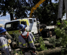  Com trabalho intenso durante a noite, Copel religa quase 90% das unidades afetadas pelo temporal - Na foto, trabalhos na área central dae Maringá: avenidas Mandacaru, XV de Novembro, Colombo e Rua Piratininga - Curitiba, 24/04/2022 Com trabalho intenso durante a noite, Copel religa quase 90% das unidades afetadas pelo temporal - Na foto, trabalhos na área central de Maringá: avenidas Mandacaru, XV de Novembro, Colombo e Rua Piratininga - Curitiba, 24/04/2022