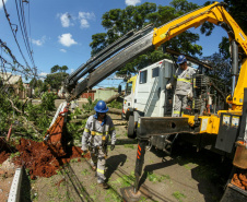  Com trabalho intenso durante a noite, Copel religa quase 90% das unidades afetadas pelo temporal - Na foto, trabalhos na área central dae Maringá: avenidas Mandacaru, XV de Novembro, Colombo e Rua Piratininga - Curitiba, 24/04/2022 Com trabalho intenso durante a noite, Copel religa quase 90% das unidades afetadas pelo temporal - Na foto, trabalhos na área central de Maringá: avenidas Mandacaru, XV de Novembro, Colombo e Rua Piratininga - Curitiba, 24/04/2022