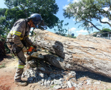  Com trabalho intenso durante a noite, Copel religa quase 90% das unidades afetadas pelo temporal - Na foto, trabalhos na área central dae Maringá: avenidas Mandacaru, XV de Novembro, Colombo e Rua Piratininga - Curitiba, 24/04/2022 Com trabalho intenso durante a noite, Copel religa quase 90% das unidades afetadas pelo temporal - Na foto, trabalhos na área central de Maringá: avenidas Mandacaru, XV de Novembro, Colombo e Rua Piratininga - Curitiba, 24/04/2022