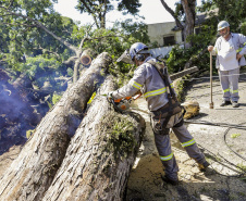  Com trabalho intenso durante a noite, Copel religa quase 90% das unidades afetadas pelo temporal - Na foto, trabalhos na área central dae Maringá: avenidas Mandacaru, XV de Novembro, Colombo e Rua Piratininga - Curitiba, 24/04/2022 Com trabalho intenso durante a noite, Copel religa quase 90% das unidades afetadas pelo temporal - Na foto, trabalhos na área central de Maringá: avenidas Mandacaru, XV de Novembro, Colombo e Rua Piratininga - Curitiba, 24/04/2022